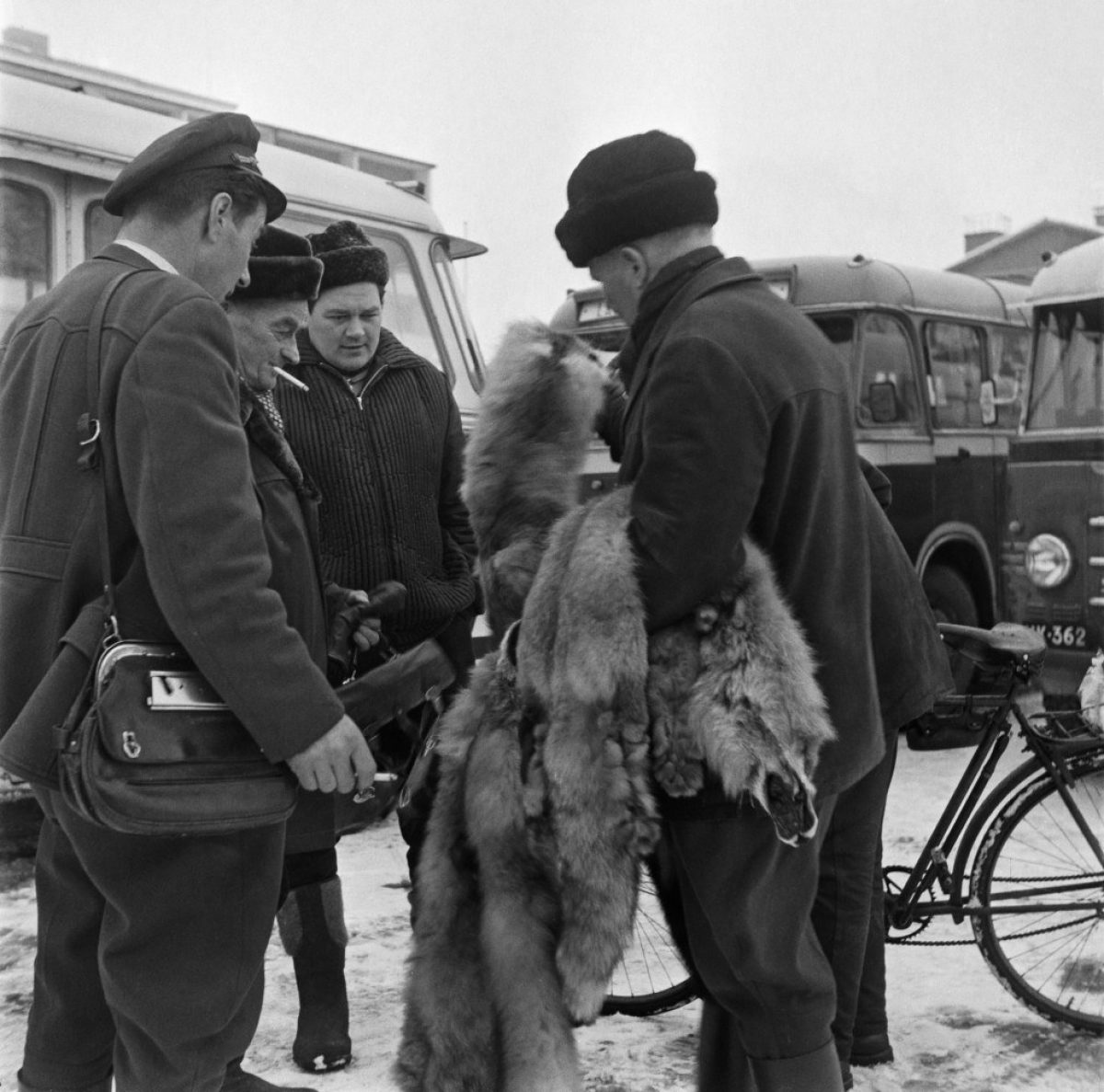 Fur trading in Porvoo. Borgåbladet, 15 February 1965. Leif Wickström / Östnyland Borgåbladet / Press Photo Archive JOKA / Finnish Heritage Agency.