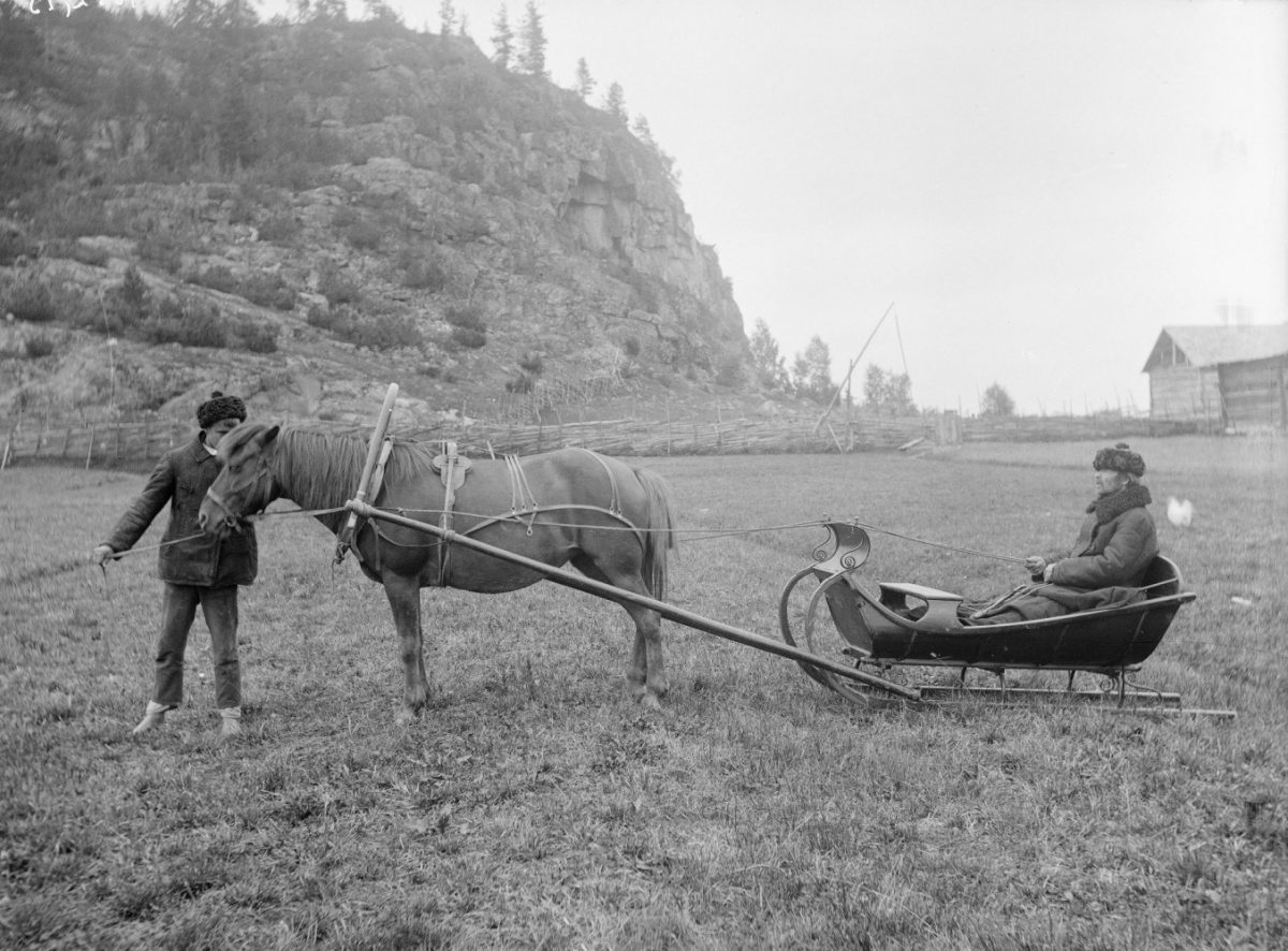 En släde förevisas på en åker i Sorola i Jakimvaara före år 1909. U. T. Sirelius / Museiverkets bildsamlingar