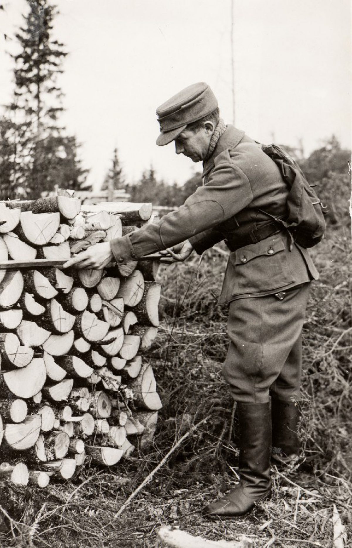 Director Elomaa taking measurements during a wood chopping campaign in 1942. Photo: M. E. Palomäki / Suurtalkoot ry´s collection / Picture Collections of the Finnish Heritage Agency