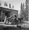 Lastning av ägodelar för evakuering i Kurkijoki, 1944. Foto: Pekka Kyytinen / Museiverkets Bildsamlingar. Objektinumero: KK5596:29.SJ.52